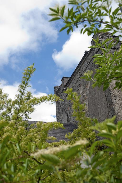 Finnstown Castle Hotel Lucan Ngoại thất bức ảnh